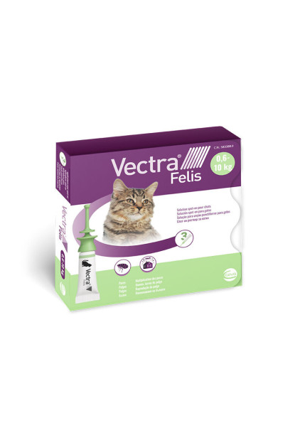 Vectra Felis