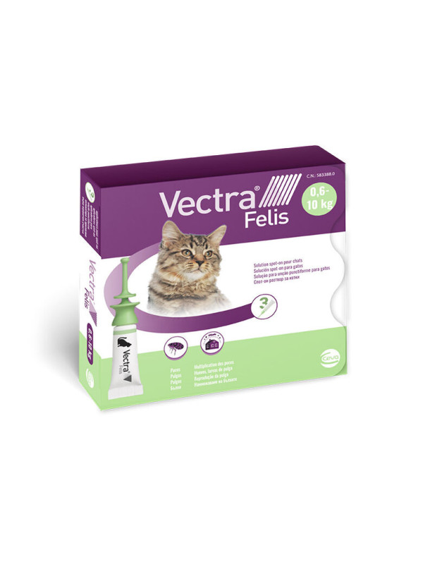 Vectra Felis