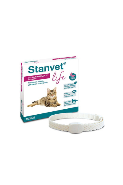 Stanvet gato