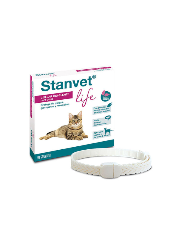 Stanvet gato