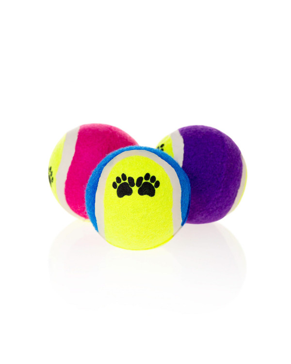 Pack pelotas de tenis