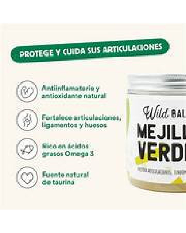 Wild blance Mejillon de labio verde