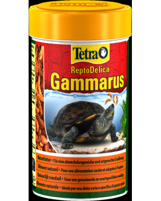 Tetra gammarus