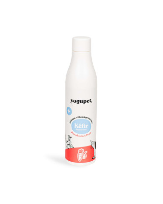 Yogupet kefir de zanahoria