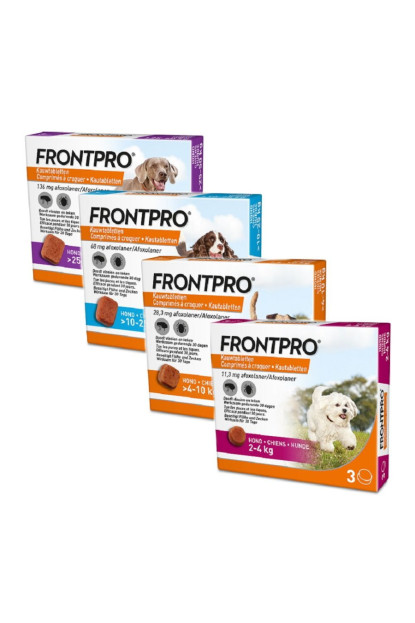 Frontpro
