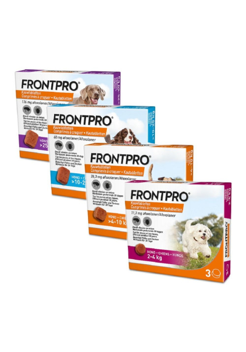 Frontpro