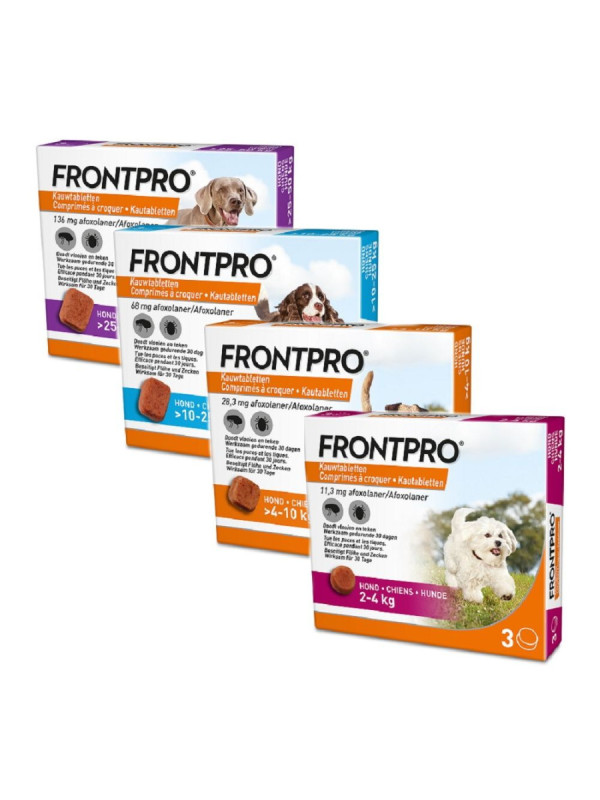 Frontpro